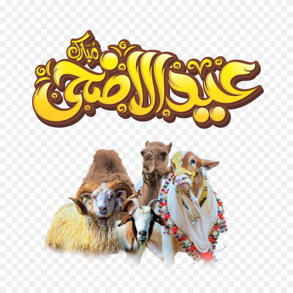 3D Eid ul Adha Typography & Qurbani Animals Group - Transparent PNG  Transparent Background