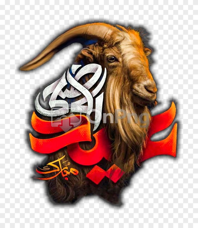 Premium Eid Ul Adha Bakra Vector Transparent PNG