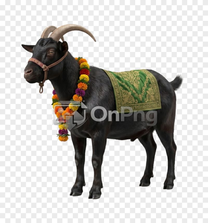 Black Goat Side View Transparent PNG