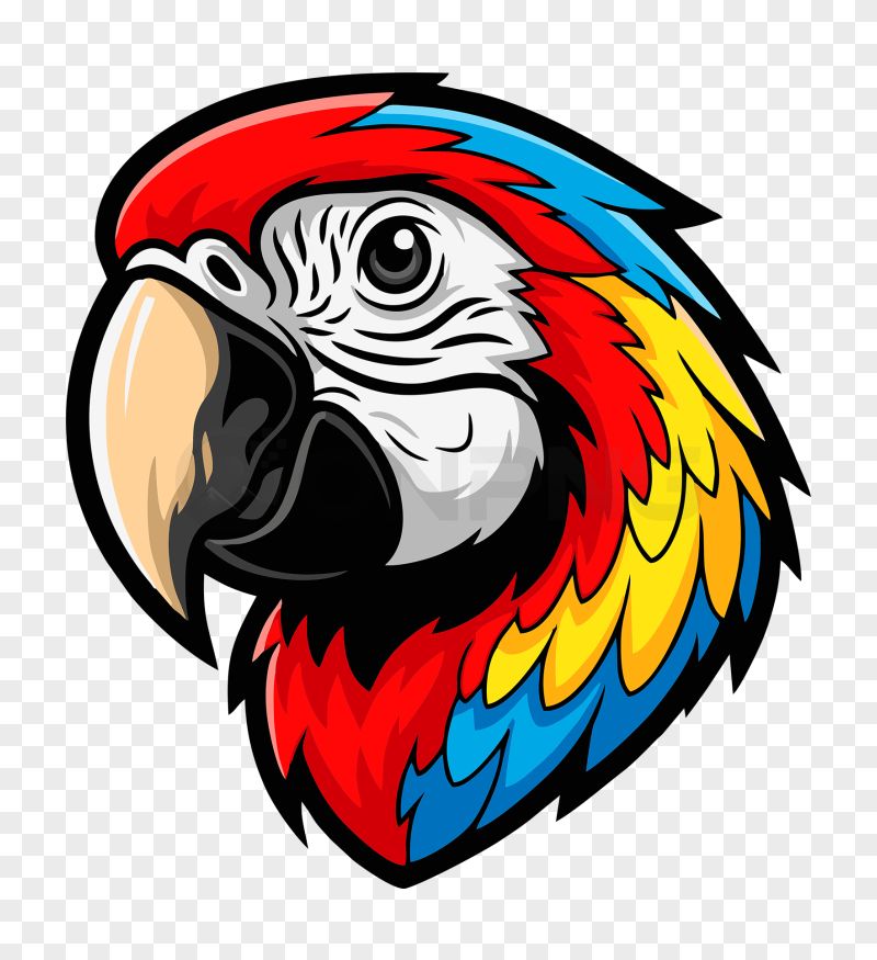 Colorful Parrot Head PNG