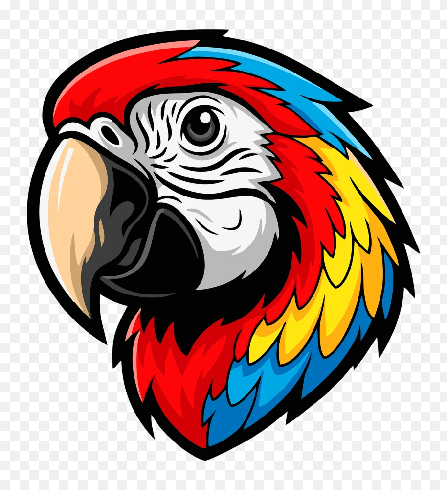 Colorful Parrot Head PNG  Transparent Background