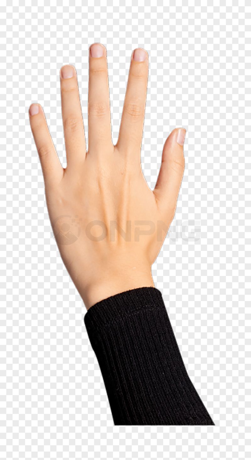 Human Hand Transparent Background PNG