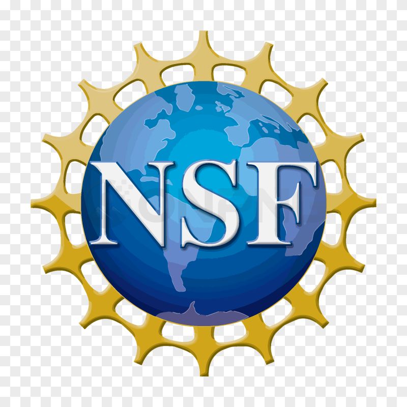 NSF Logo Transparent Background PNG