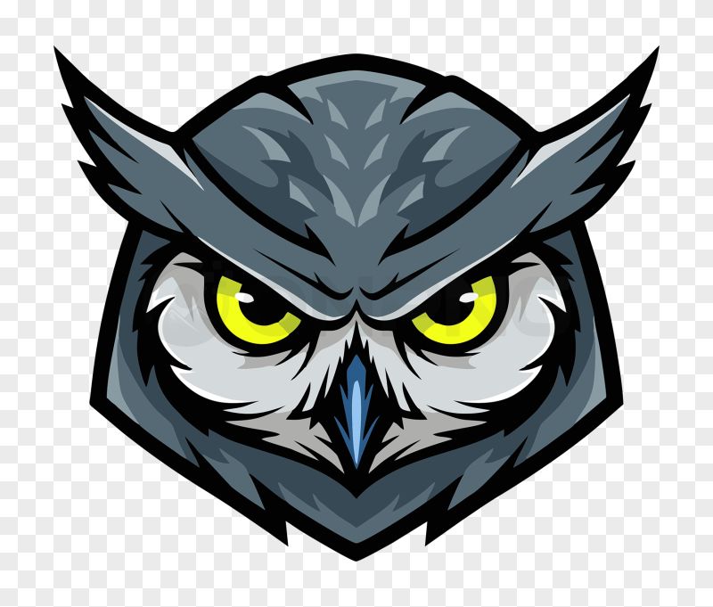 Urban Owl Mascot Logo PNG Transparent Background