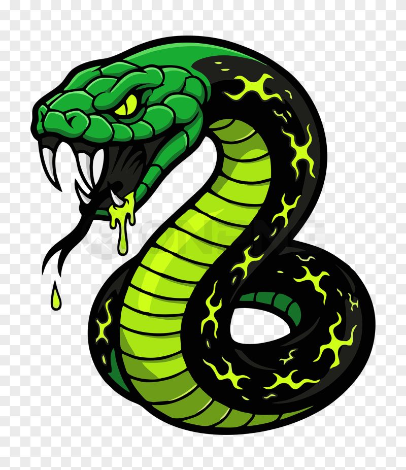 Venomous Green Snake Transparent Background PNG